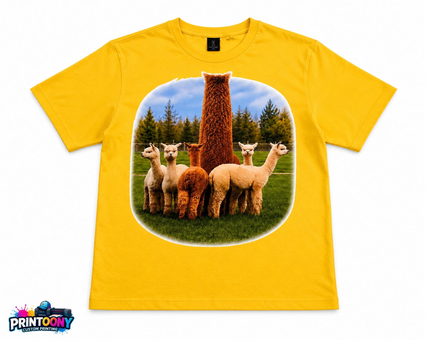 Picture printing